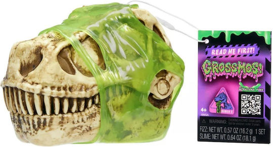 Dino Blind Dino for 4+ Years