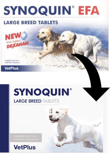 Vet Plus Synoquin Tasty Multivitamine pentru câini sub formă de pastile 30 filete
