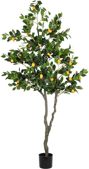 Globostar Artificial Garden Lemon Tree 21106 Decorative Artificial Lemon Tree H200cm Globostar Artificial Garden Lemon Tree 21106 Decorative Artificial Lemon Tree H200cm