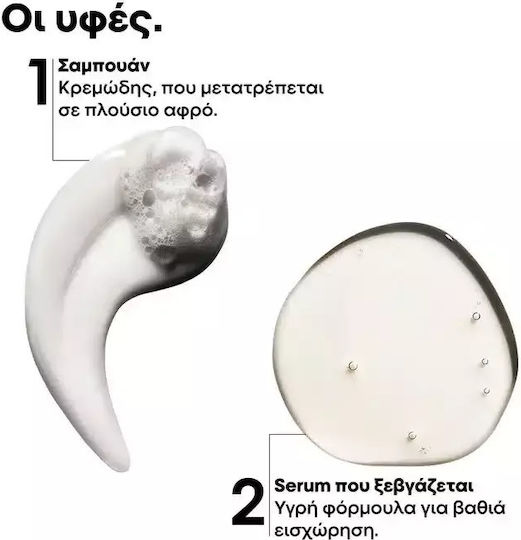 L'Oréal Professionnel Absolut Repair Molecular Σετ Περιποίησης Μαλλιών Αναδόμησης & Θρέψης για Ταλαιπωρημένα Μαλλιά με Σαμπουάν & Serum 2τμχ