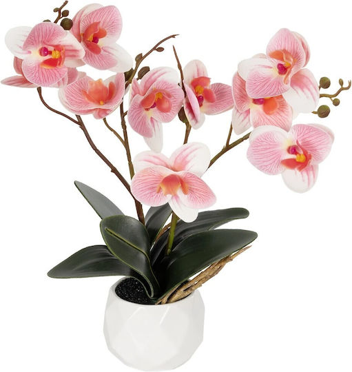 Globostar Artificial Garden Pink Orchid 21075 Decorative Plant Pink Orchid H30cm Globostar Artificial Garden Pink Orchid 21075 Decorative Plant Pink Orchid H30cm