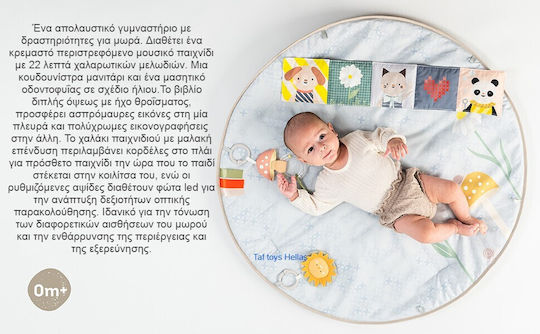 Taf Toys Activity Gym with Music for Newborns