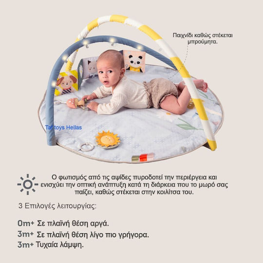 Taf Toys Activity Gym with Music for Newborns