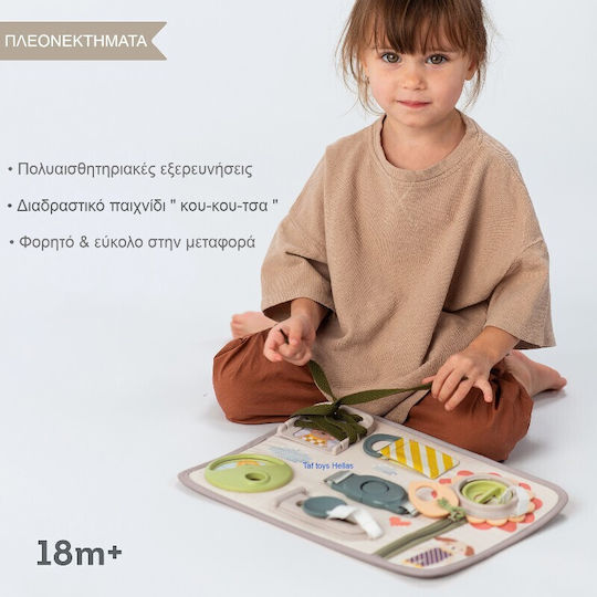 Taf Toys Baby Toy Snap ‘n Learn for 18++ Months