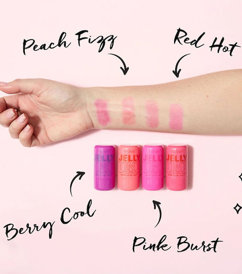 Technic Stick Ρουζ Berry Cool