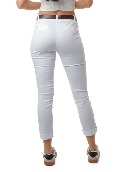 Silia D Silia D