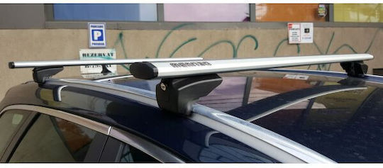 Menabo 135cm. 2014+ (with Roof Rack Legs and Lock) Silver