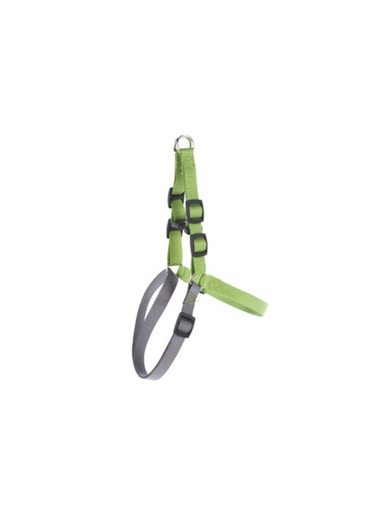 Hundegeschirr Grün-Grau Klein 29-45 cm