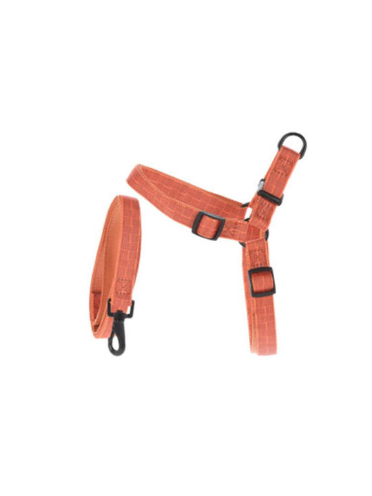Hundegeschirr Orange 50-65x2cm