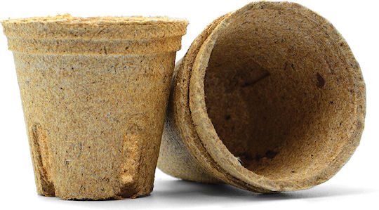 Bonsai Growing Kit Bamboo Κυριαρχήστε Στην Τέχνη Του Μπονσάι