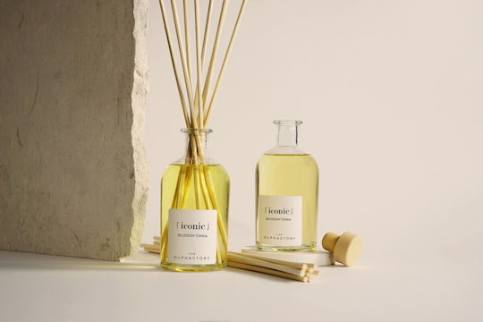 Raumduftstäbchen 250ml Blossom Tonka Ikonischer Diffuser Olphactory