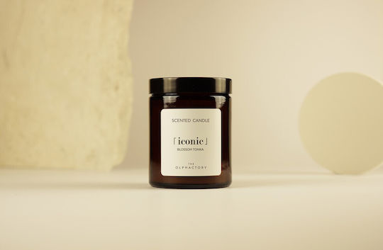 Ambientair Lumânare Aromatică Din Soia În Borcan Cu Miros Înflorire 135gr