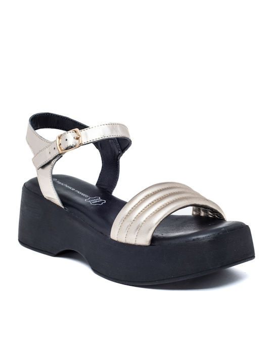 Air Anesis