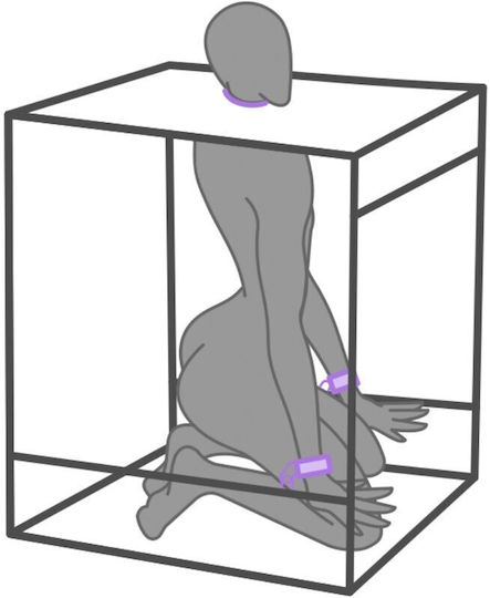 Kink BDSM Kit σε Μωβ Χρώμα