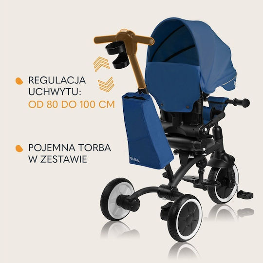 Lionelo Tris Wandelbar mit Elterngriff 3-in-1 für 9 Monate Grau