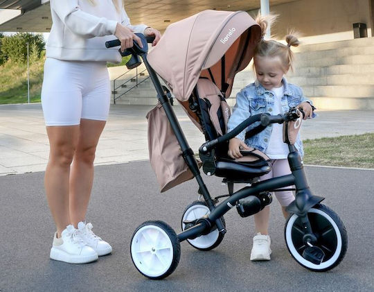 Lionelo Tris Wandelbar mit Elterngriff 3-in-1 für 9 Monate Grau