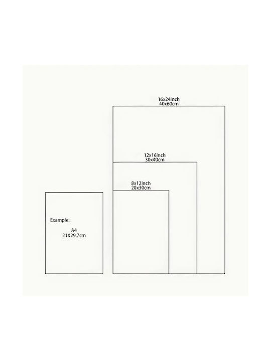Black Sheep Canvas Poster 40×60cm Without Frame