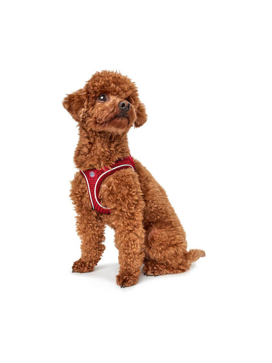 Hunter Harness Hilo Κόκκινο Small / X-Small