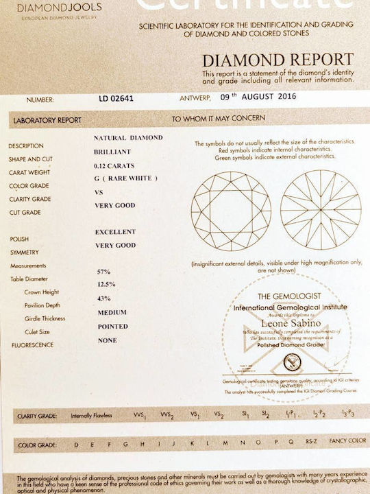 Diamond Jools Κολιέ από Λευκόχρυσο 18Κ Diamond Jools Κολιέ από Λευκόχρυσο 18Κ