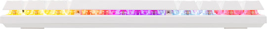 Baracuda Dolphin Gaming Mechanical Keyboard 60% with Custom Red switches and RGB lighting (English US) White
