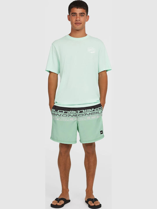 Cali Men's Swimwear Shorts Green/black Striped