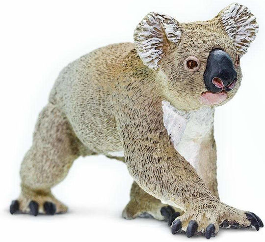 Safari Ltd Koala