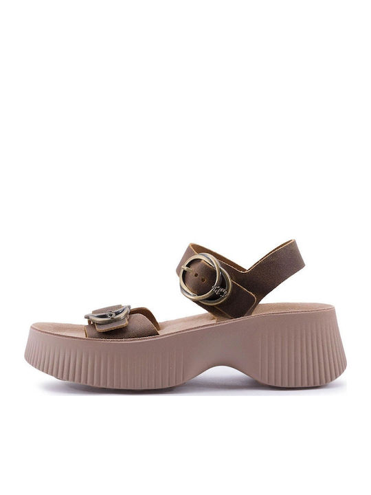 Fantasy Sandals