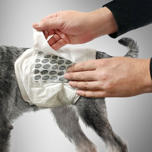 Simple Solution Male Wrap Dog Panties Small - 48cm 12pcs