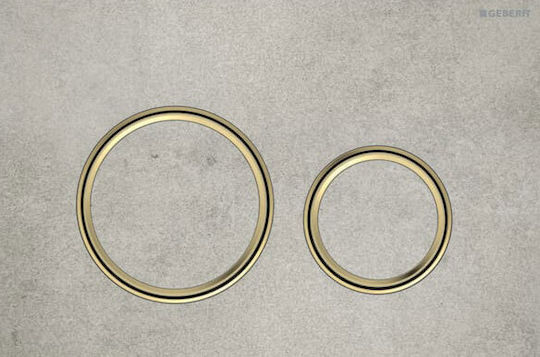 Geberit Flush Plate Dual Flush