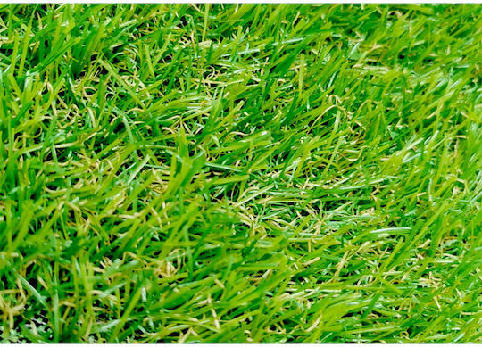 BPN2110 1x25m und Höhe des Flors 20mm in Grün Farbe 1Stück