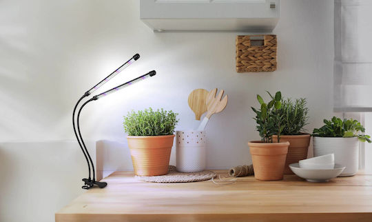 Globo Lighting Desk Grow Light with LED