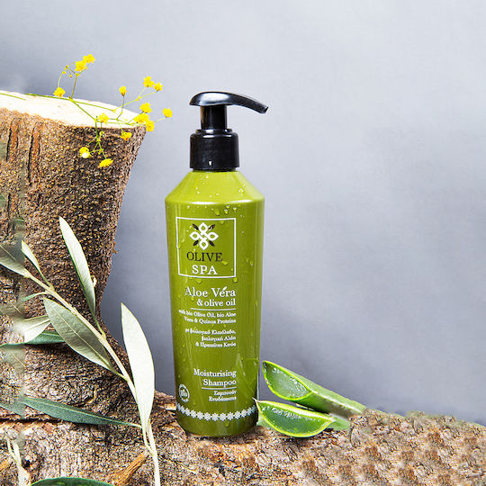 OliveSpa Aloe Vera & Olive Oil Shampoos für Trocken Haare 250ml