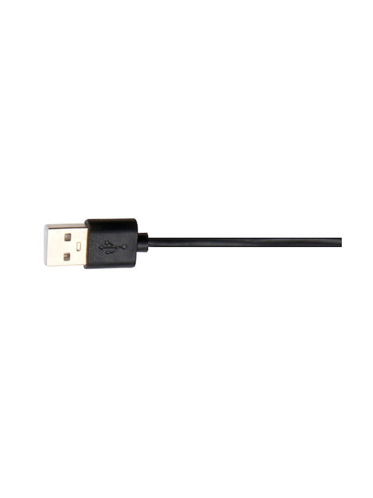 Grundig Γιρλάντα Φωτισμού LED 1.5m με 4 Λαμπάκια RGB