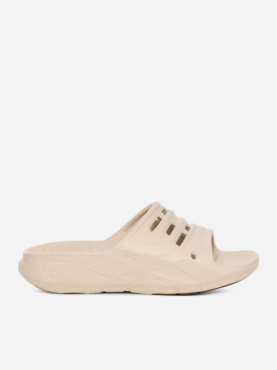 Teva