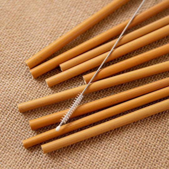Natural Elements Reusable Bamboo Straw Set 10pcs Cleaning Brush
