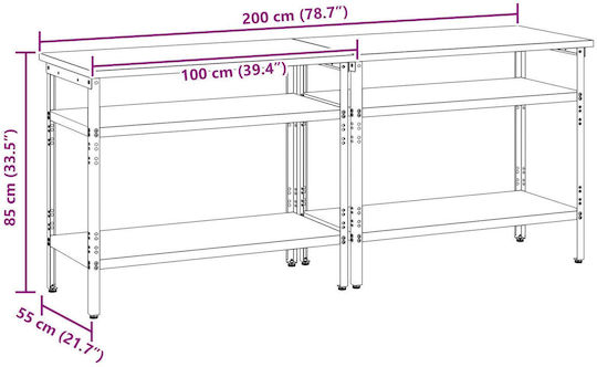 vidaXL Πάγκος Εργασίας 55x85x100cm 2τμχ 3321390