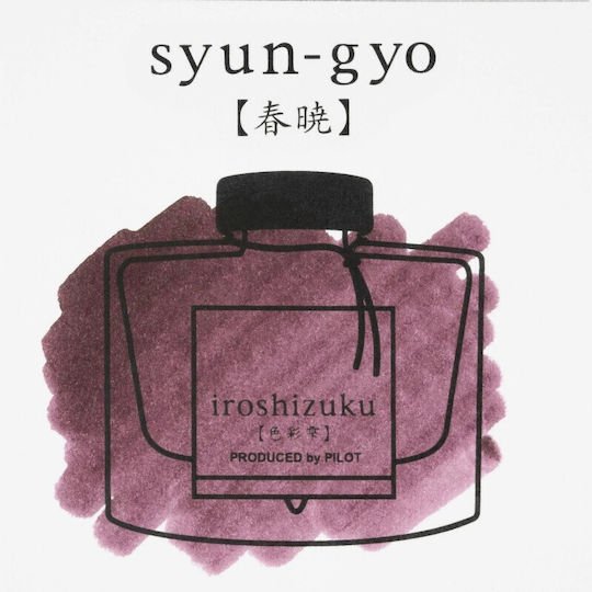 Pilot Iroshizuku Replacement Ink for Fountain Pen Black 50ml