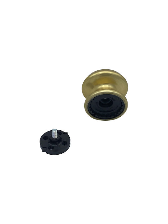 Saguatti Μπουλ Εξώπορτας Polished Gold