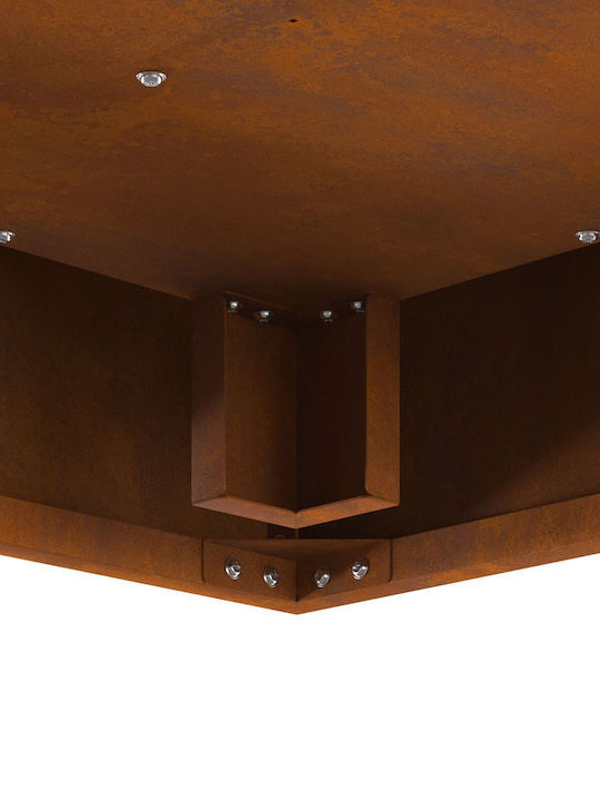 vidaXL Firepit Brown 60x60x30cm