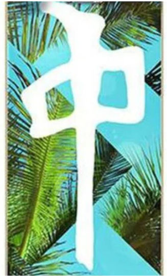 Red Dragon Palm Beach Complete Shortboard Τιρκουάζ