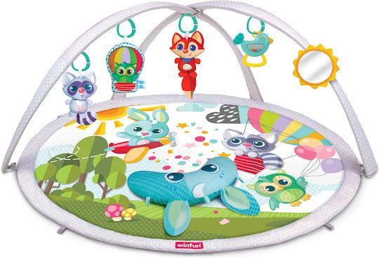 Winfun Baby Activity Gym for Newborns