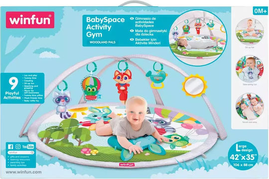 Winfun Baby Activity Gym for Newborns