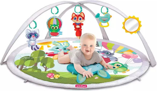 Winfun Baby Activity Gym for Newborns