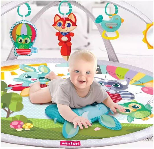 Winfun Baby Activity Gym for Newborns
