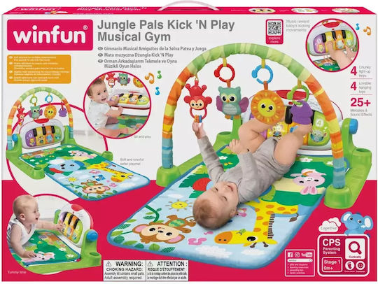 Winfun Baby Activity Gym for Newborns