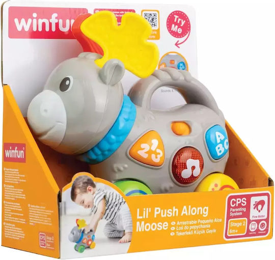 Winfun Jucărie pentru Bebeluși cu Sunete