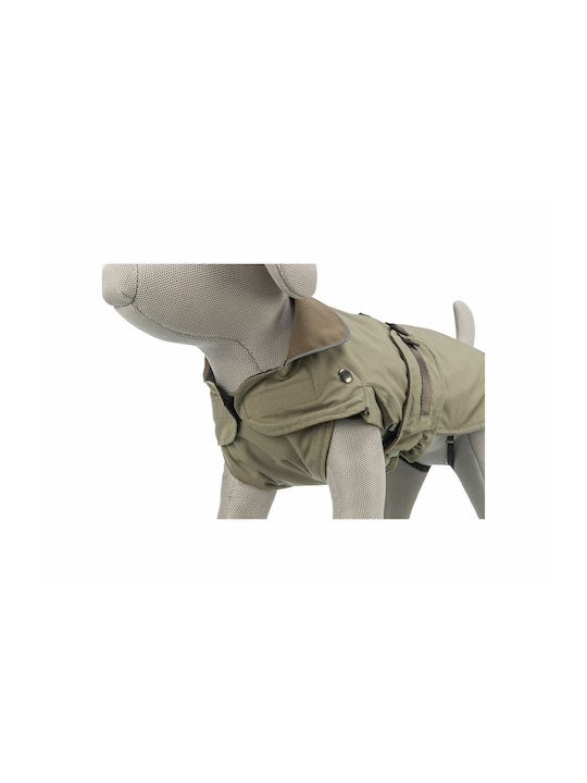 Orange Dog Coat with 43cm Back Length