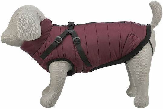 Red Dog Coat with 40cm Back Length