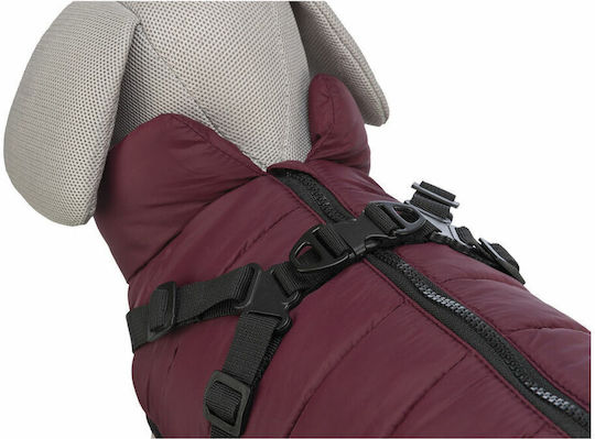 Red Dog Coat with 40cm Back Length