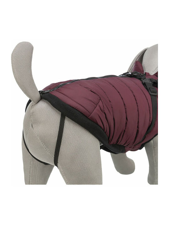 Red Dog Coat with 40cm Back Length